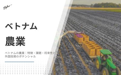 ベトナムの農業｜特徴・課題・将来性と外国投資のポテンシャル